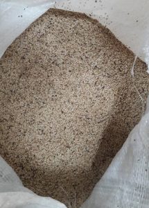 Sesame seeds - BIIZGLOSERV