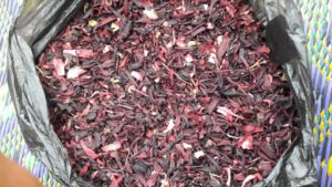 Hibiscus Sifting 2 - BIIZGLOSERV
